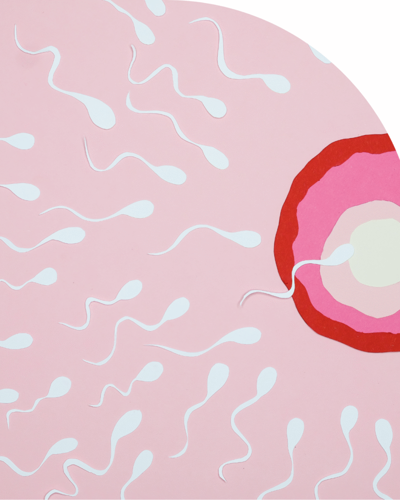 infertility treatment